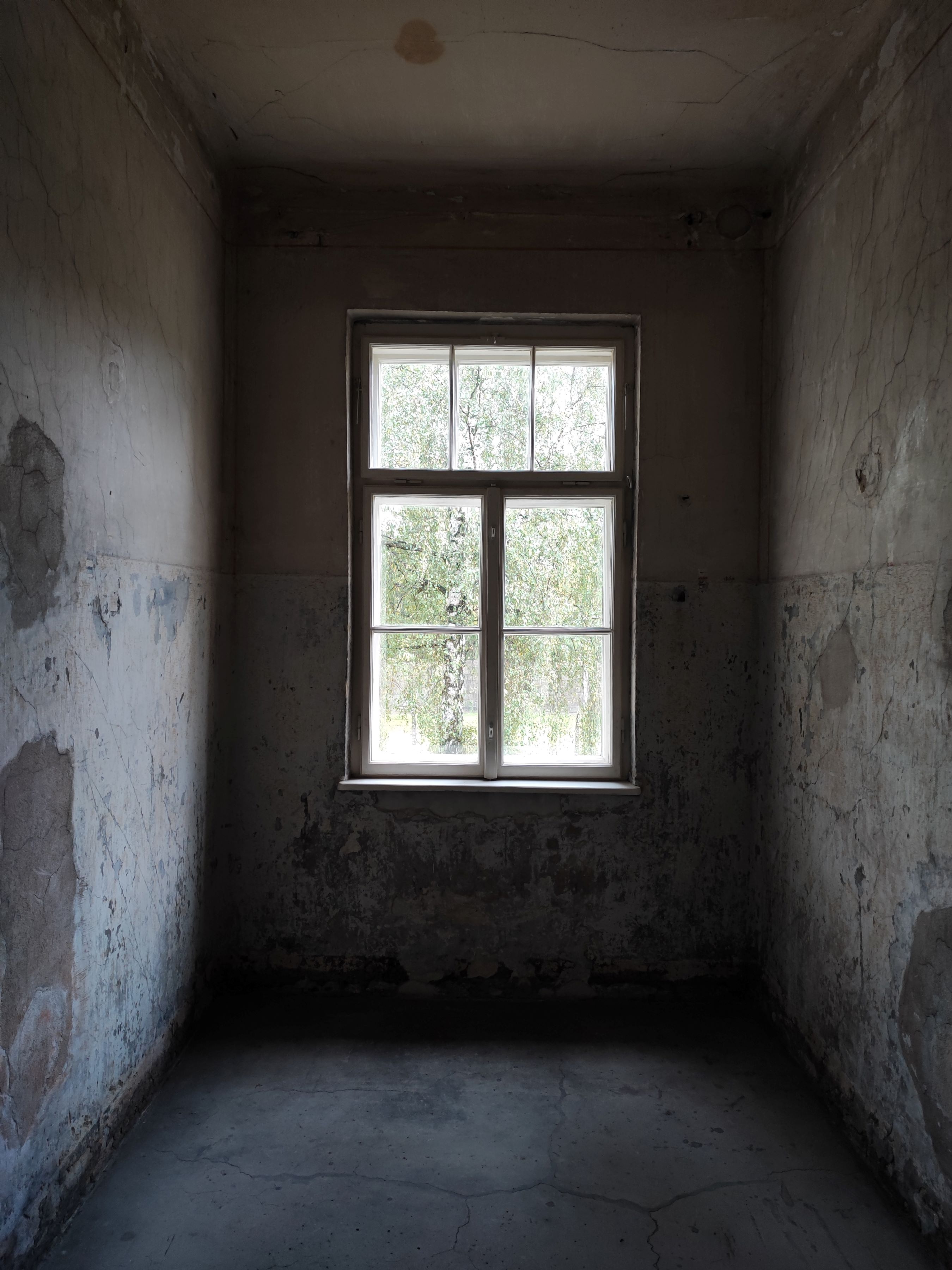 Is the 80th Anniversary of the Liberation of Auschwitz about survivors or Netanyahu?