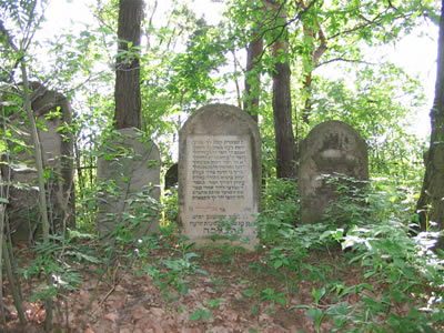 Sokolow Malopolski Jewish cemetery
